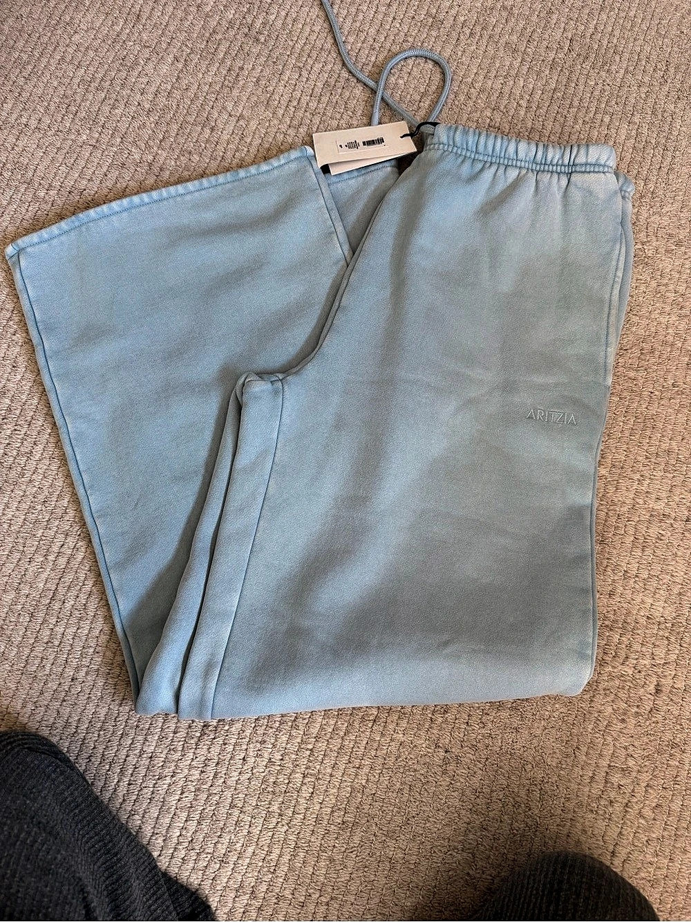 Aritzia Mega Flutter Sweatfleece Joggers in Blue NWT
